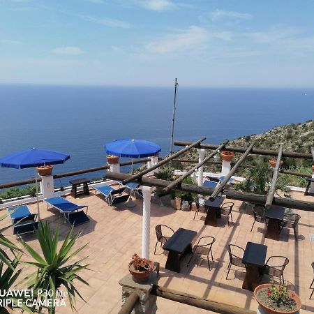 Hotel Punto Azzurro Forio di Ischia エクステリア 写真