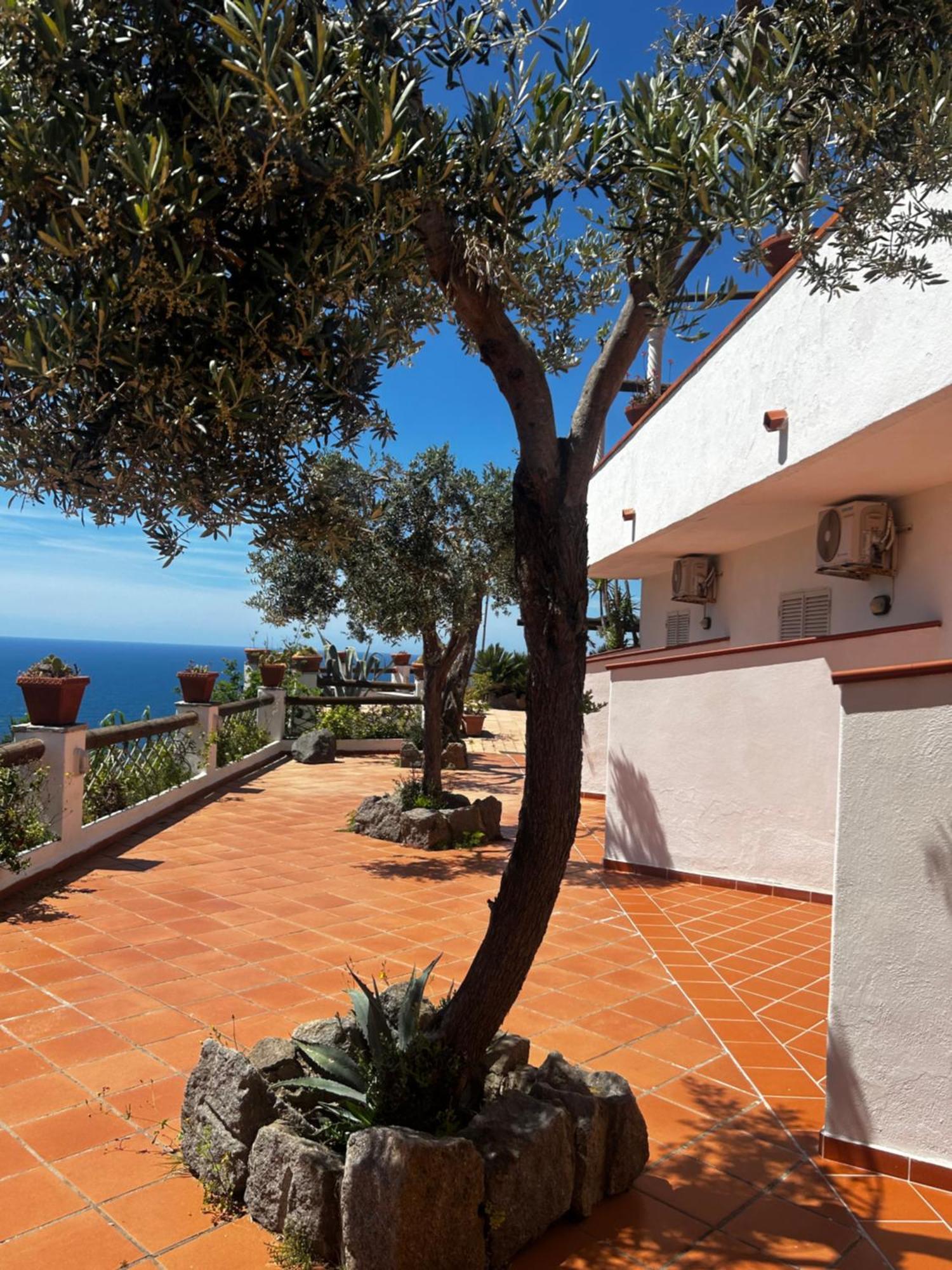 Hotel Punto Azzurro Forio di Ischia エクステリア 写真