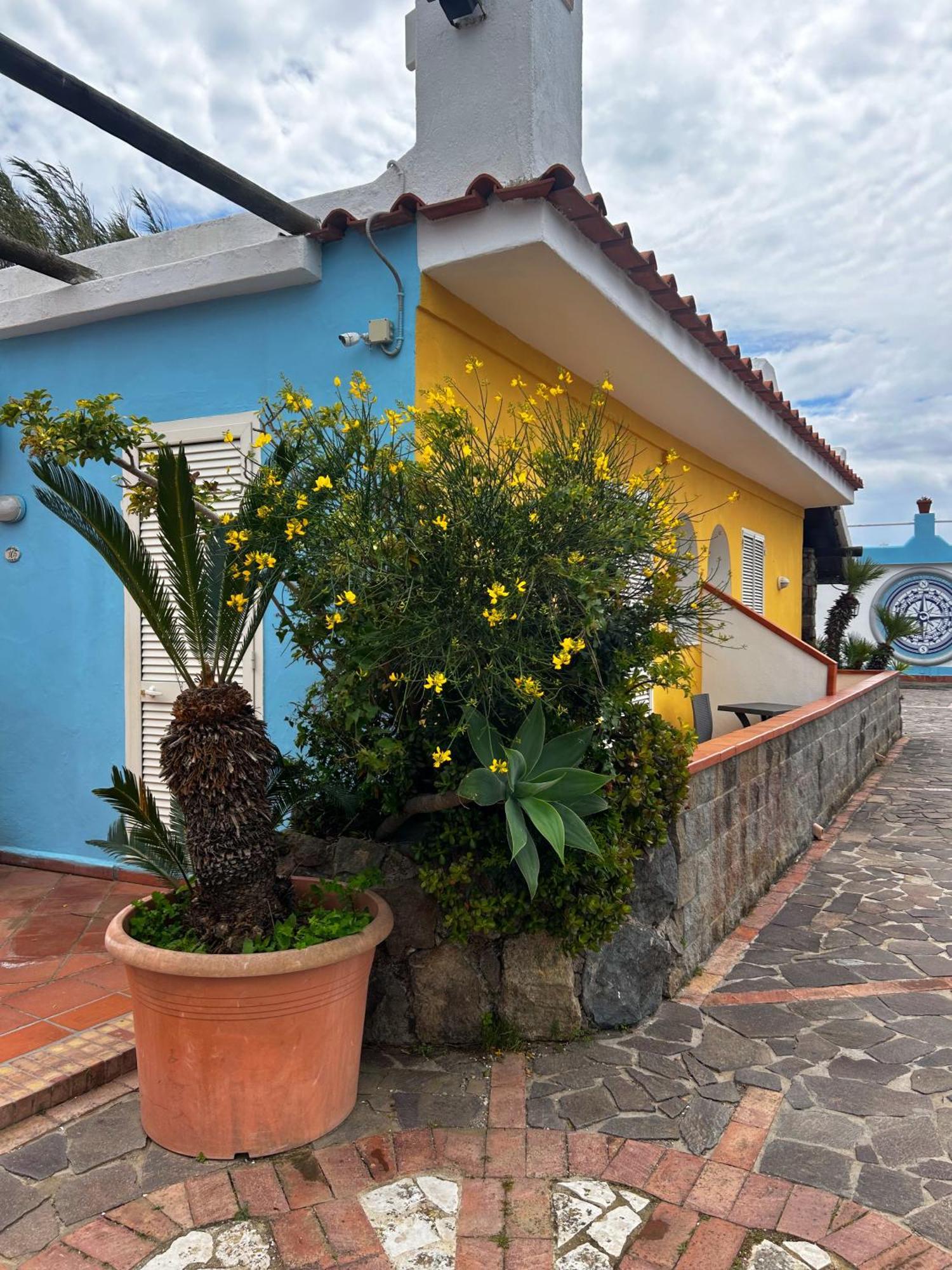 Hotel Punto Azzurro Forio di Ischia エクステリア 写真